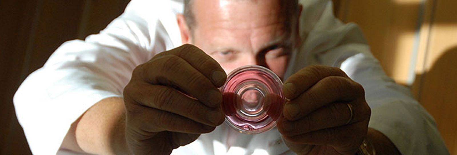 Man holding glass disc banner image